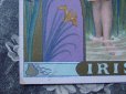 画像4: アンティーク クロモ 『LU』アイリスの妖精 IRIS-LEFEVRE-UTILE- (4)
