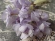 画像4: アンティーク 薄紫の薔薇のコサージュ (4)