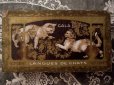 画像2: 1900年代 アンティーク 子猫たちのラングドシャの紙箱 LANGUES DE CHAT-GALA PETER- (2)