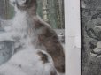画像4: アンティーク クロモ 子猫たちのおやつの時間-CHOCOLAT VINAY- (4)
