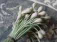 画像3: アンティーク ペップ コサージュ用 白い花飾り (3)