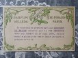 画像1: 未使用 1904年 宿り木のアンティーク ポストカード PARFUM VELLEDA-ED.PINAUD- (1)