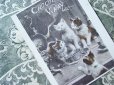 画像1: アンティーク クロモ 子猫たちのおやつの時間-CHOCOLAT VINAY- (1)