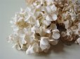 画像5: アンティーク 白い花のコサージュ (5)