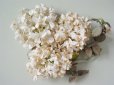 画像2: アンティーク 白い花のコサージュ (2)