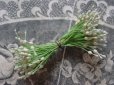 画像1: アンティーク ペップ コサージュ用 真っ白な花飾り  (1)