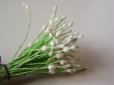 画像4: アンティーク ペップ コサージュ用 真っ白な花飾り  (4)