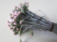 画像3: アンティーク ペップ コサージュ用 ピンクの花飾り  (3)