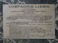 画像2: 1880年代 アンティーク クロモ  クリスマスツリーと少女たち EXTRAIT DE VIANDE LIEBIG-LIEBIG- (2)