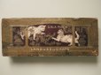 画像2: 1900年代 アンティーク 子猫たちのラングドシャの紙箱 LANGUES DE CHAT-GALA PETER- (2)