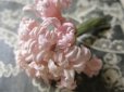 画像2: アンティーク 淡いピンクの花のコサージュ (2)