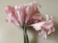 画像5: アンティーク 淡いピンクの花のコサージュ (5)