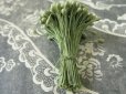 画像3: アンティーク ペップ コサージュ用 若草色の花飾り (3)