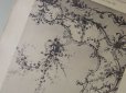 画像4: 19世紀末 アンティーク 版画  ルイ15世スタイル 花のガーランドの天井のオーナメント-LE JOURNAL DE LA DECORATION- (4)