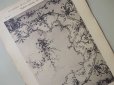 画像1: 19世紀末 アンティーク 版画  ルイ15世スタイル 花のガーランドの天井のオーナメント-LE JOURNAL DE LA DECORATION- (1)