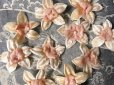 画像1: アンティーク ピンクベージュの花のコサージュ 10輪 ベルベット (1)