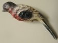 画像3: アンティーク セルロイド製 小鳥のグラスマーカー 3点セット (3)