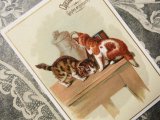 アンティーク クロモ テーブルの上の猫たち-CHOCOLAT POULAIN-