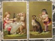 画像4: アンティーク クロモ 猫と少女 全6枚セット -GRANDE MAISON DE BLANC- (4)