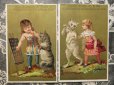 画像2: アンティーク クロモ 猫と少女 全6枚セット -GRANDE MAISON DE BLANC- (2)