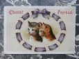 画像1: アンティーク クロモ 2匹の子猫と紫のリボン-CHOCOLAT PAYRAUD- (1)