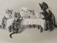 画像2: アンティークポストカード 子猫たちのティータイム (2)