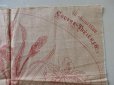 画像4: 1899年 アンティーク 刺繍図案 アイリスの花 JOURNAL DES DEMOISELLES (4)