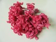 画像1: アンティーク ローズピンクの花のコサージュ 31輪 (1)