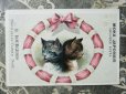 画像1: アンティーク クロモ 2匹の子猫とピンクのリボン -MOKA JAPONAIS- (1)