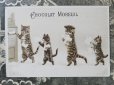 画像1: アンティーク クロモ 手紙をポストに投函する猫たち -CHOCOLAT MOREUIL- (1)