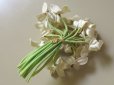 画像2: アンティーク 白い花のコサージュ 17輪 (2)