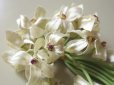 画像4: アンティーク 白い花のコサージュ 17輪 (4)