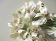 画像3: アンティーク 白い花のコサージュ 17輪 (3)