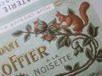 画像4: アンティーク 栗鼠のチョコレートのラベル EXTRA FONDANT ESCOFFIER A LA NOISETTE (4)