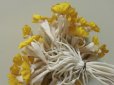 画像4: アンティーク 黄色の花のコサージュ 60輪 (4)