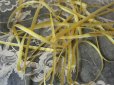 画像3: アンティーク 黄色 ロココトリム用のリボン 7.8m (3)