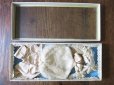 画像4: アンティーク 硝子の蓋の紙箱入り コミュニオンのヘッドリース＆オモニエール＆リボン 