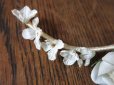 画像4: アンティーク 白い花のコサージュ ラベル付