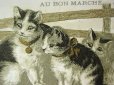 画像3: アンティーク クロモ クワガタを見つめる子猫たち-AU BON MARCHE- (3)