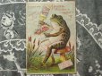 画像2: アンティーク パフュームカード 薔薇のブーケと蛙 HOYT'S GERMAN COLOGNE-E.W.HOYT&CO.- (2)