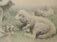 画像4: アンティークポストカード ヴィエノワーズ-VIENNOISE -羊と子供たちのイースター (4)
