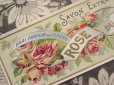 画像1: アンティーク サボンラベル  春の薔薇とサキソニー柄 ROSE DU PRINTEMPS (1)