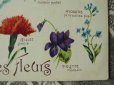 画像4: アンティークポストカード 天使と花言葉 LANGAGE DES FLEURS (4)
